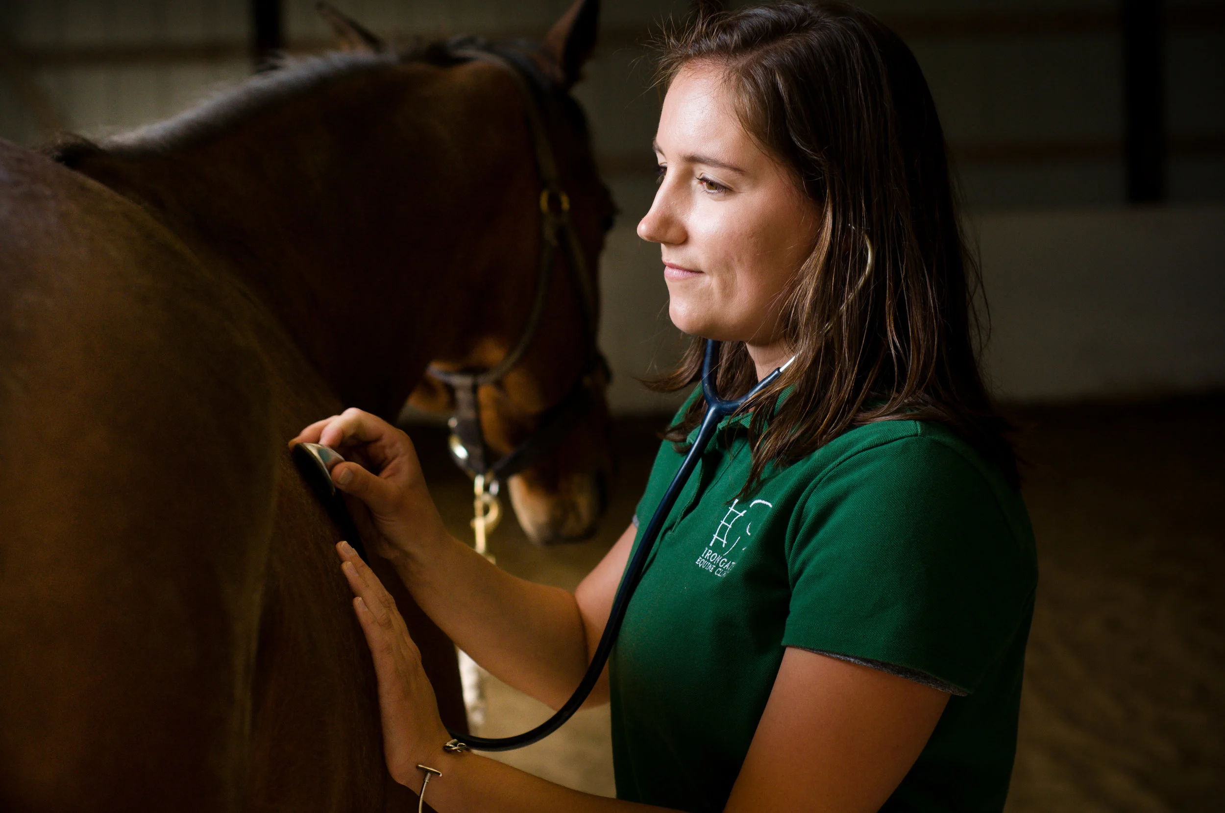 Emergency horse hot sale vet near me